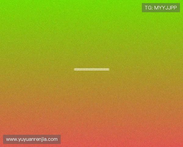 德甲最新赛事动态：球队表现分析与赛程预告全解析